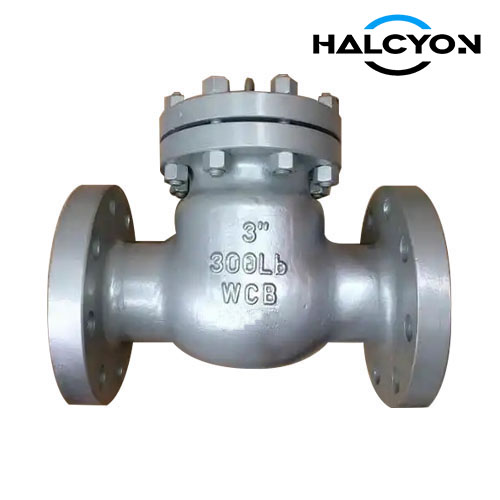 300lb API Swing check valve