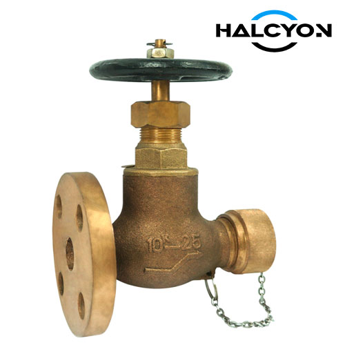 JIS 10K Bronze Hose Globe Valve