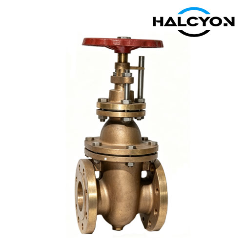 DIN 401522/21 Gate Valve